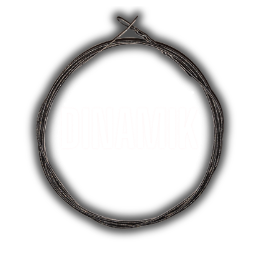 Dinamik Logo